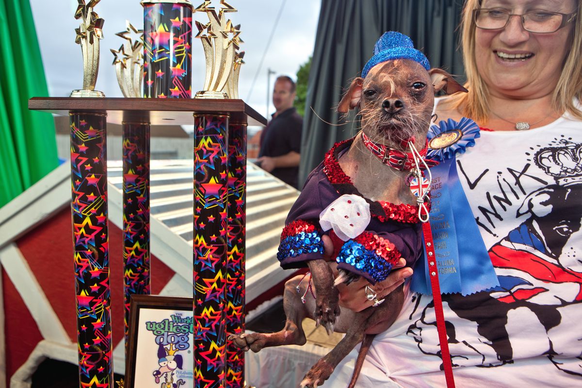 World's Ugliest Dog: The Evolution of Mugly's Frightful Features