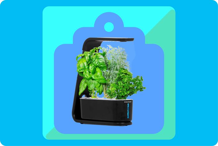 AeroGarden Is Going Out of Business, and Its Smart Gardens Are Half Off