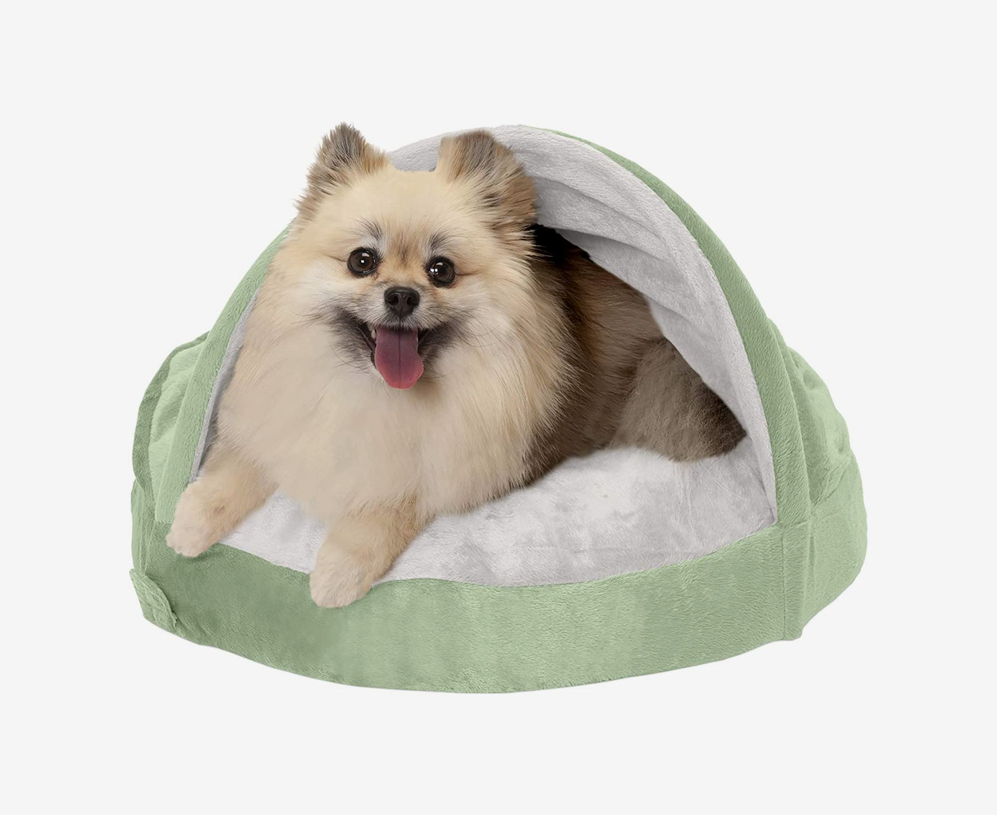 19 Best Dog Beds 2021 The Strategist