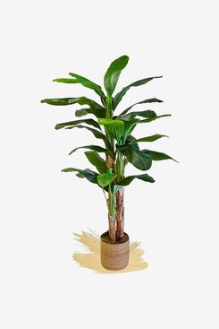 The 17 Best Fake Houseplants of 2024