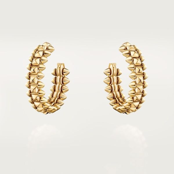 Cartier Clash de Cartier Earrings Small Model
