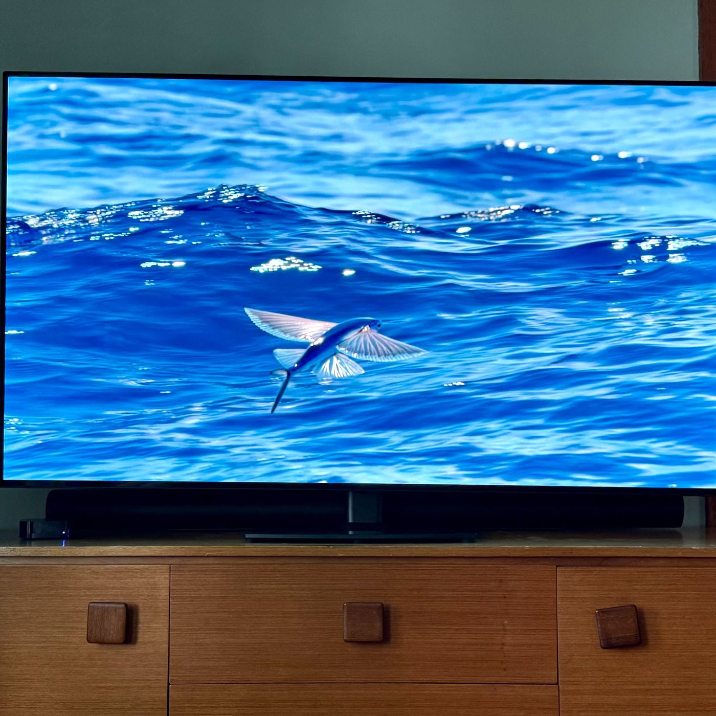 C1 Oled Tv Lg C1 As Monitor Review Tv Lg C1 Oled LG C1 OLED Review