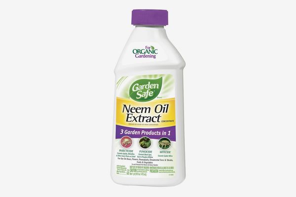 Garden Safe Neem Oil Extract Concentrate