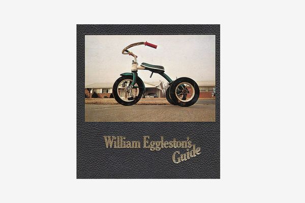 William Eggleston's Guide 