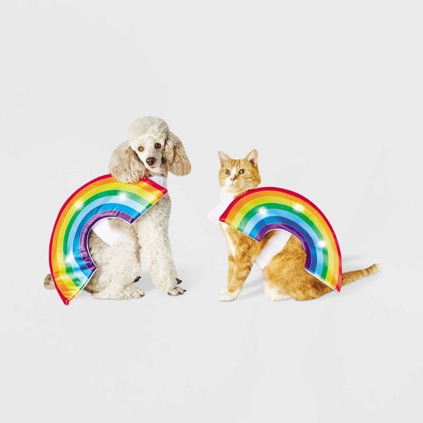 LED Rainbow Soft Brights Dog and Cat Costume