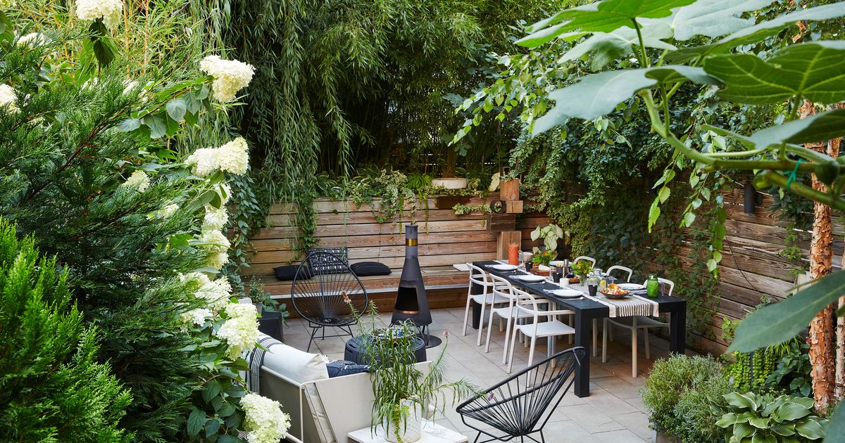 Tour a Lush Herb and Sitting Garden in BedStuy