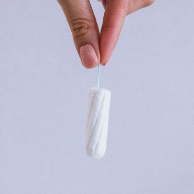 Woman’s hand holding clean cotton tampon close-up. Young woman preparing menstruation time. Soft tender protection woman critical days, gynecological. Medical hygiene conception and protection