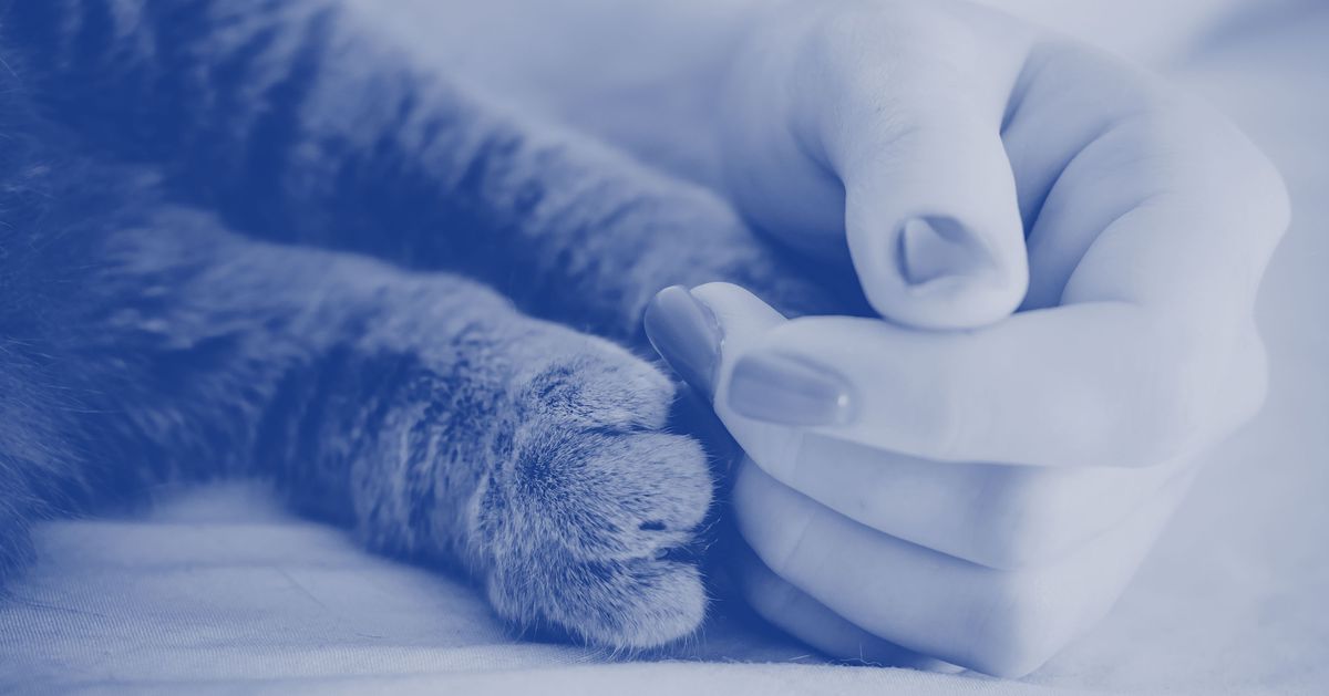 The Grief Counselor Helping People Mourn Their Pets