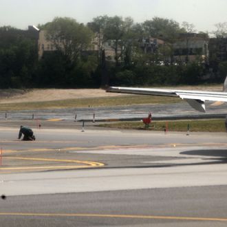 A man attempts to retrieve a dog after it escaped from its cage during transportation on an airline at LaGuardia Airport on April 25, 2012 in New York City. The dog was caught after approximately ten minutes but not before halting plane traffic at the busy metro airport while the chase was underway.
