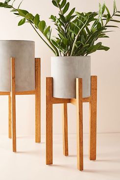 Cement Plant Stand