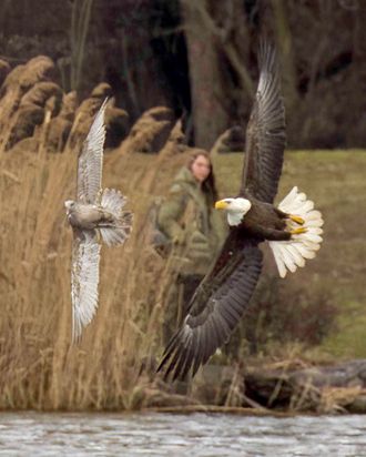 Hole In the World - Eagles