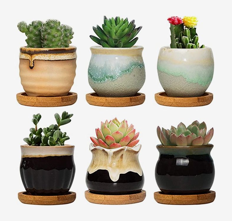3 Inch Mini Cactus Indoor Plants Carden Container Planting Metal Stand Decor Office with Drainage POTEY Ceramic Succulent Planter Pot 