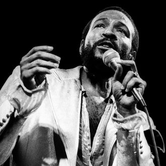 Marvin Gaye Performs In Rotterdam