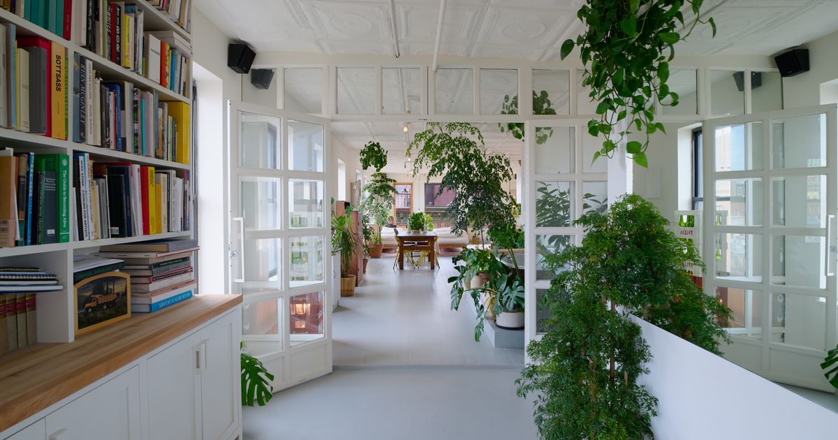 The loft of the architectural designer Nick Poe is a hot spot for houseplants.