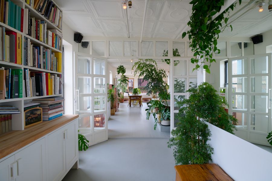 Nick Poe’s Houseplant Hot Spot