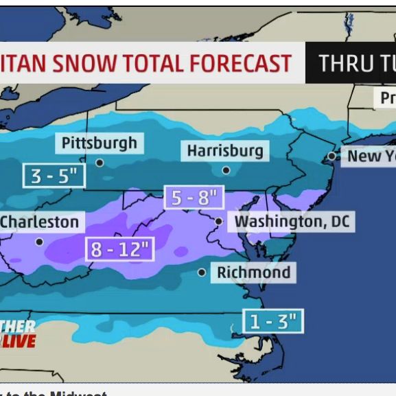 U.S. Government Admits Defeat, Takes Another Snow Day