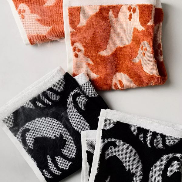 Anthropologie Icon Jacquard Spooky Dishcloths, Set of 4
