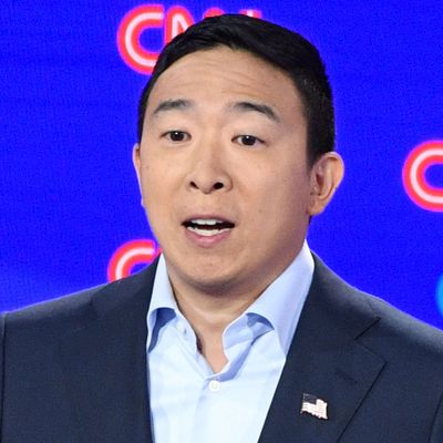 Is Andrew Yang the Doomer Candidate? (And What's a Doomer?)