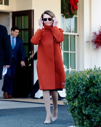 Max mara 2025 pelosi coat