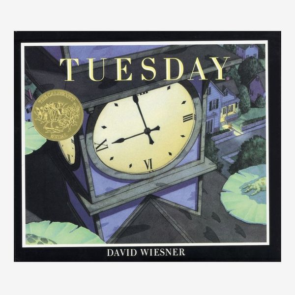 ‘Tuesday’ by David Wiesner
