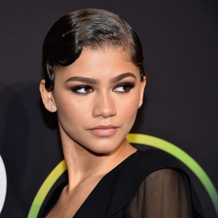 Zendaya Hires Body-Shamed Twitter User for Modeling Job