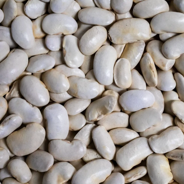 Rancho Gordo Royal Corona Beans