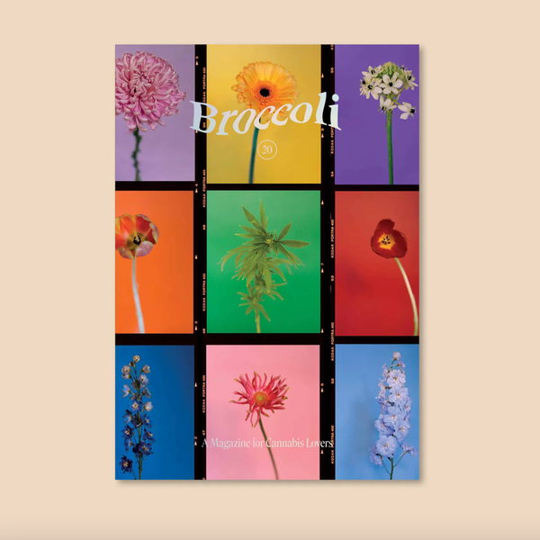 ‘Broccoli’ Magazine Issue No. 20