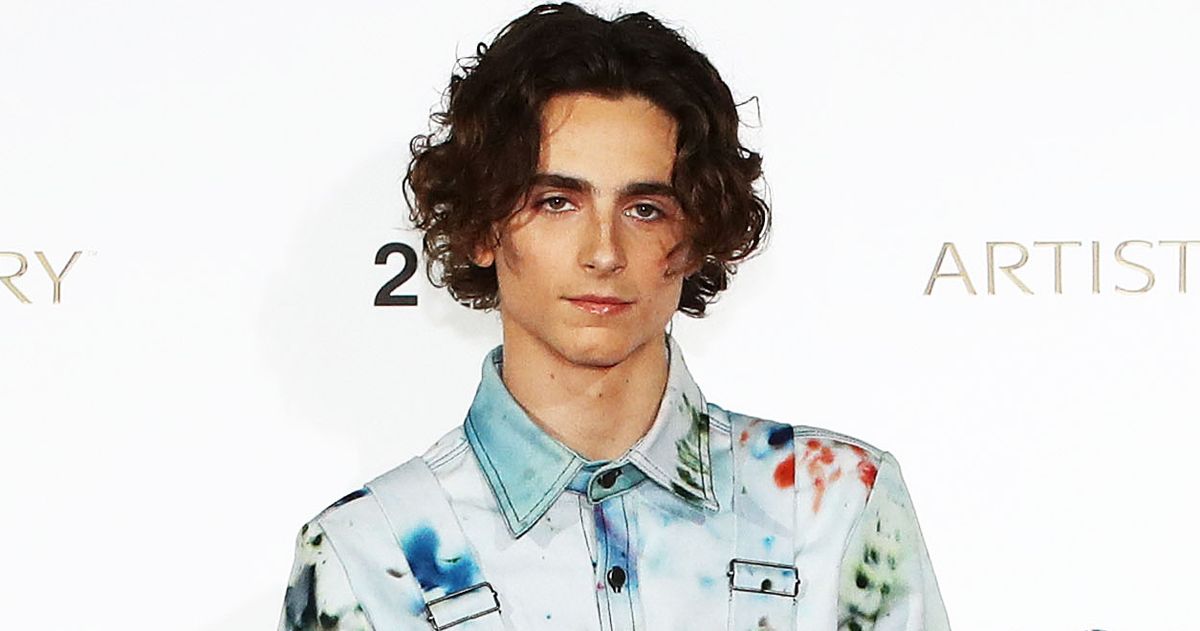 Timothée Chalamet Wears Artsy Overalls By Sterling Ruby