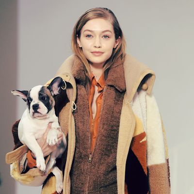 Gigi Hadid Opens Tod’s Show at Milan Fashion Week With a Dog