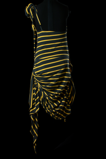 Vaquera Striped Dress
