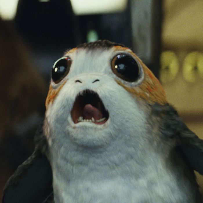 The New Aliens From The Last Jedi, Ranked by Cuteness