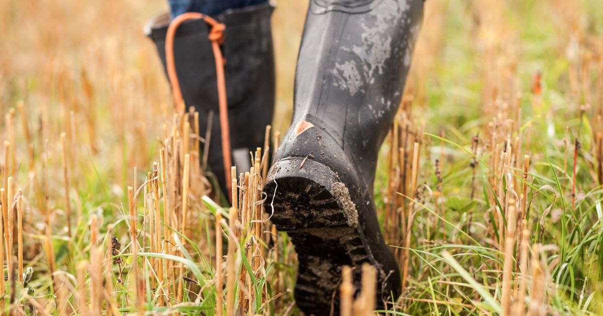10 Best Men's Rain Boots