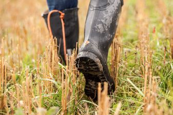 Low section of farmer walking in field