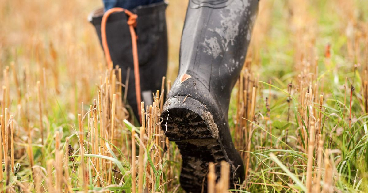 knee high mud boots