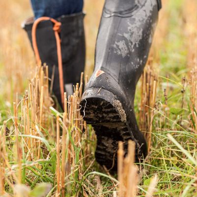 Low section of farmer walking in field