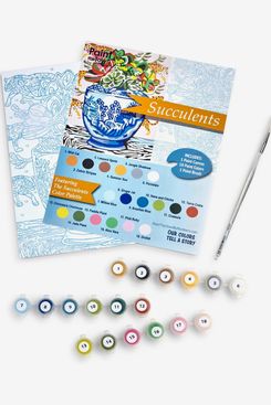 Succulents Paint by Numbers Painting Set