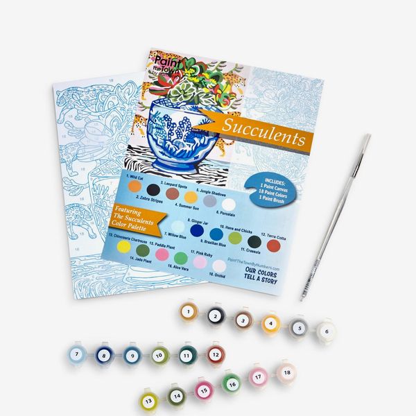 Succulents Paint by Numbers Painting Set