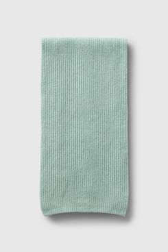 Gap CashSoft Rib Scarf