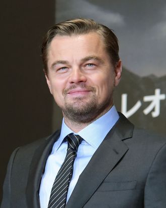 The 41-year-old actor known as Leonardo DiCaprio.