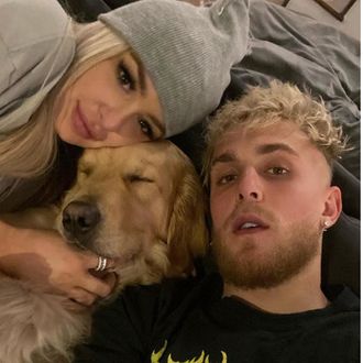 Jake paul dog sales died