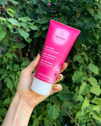 Weleda Wild Rose Creamy Body Review |