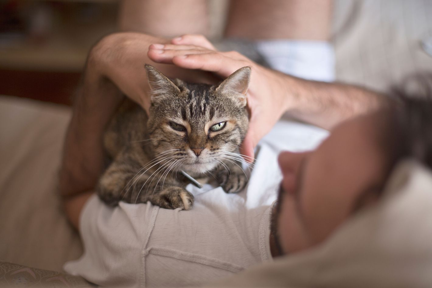 A Therapist on That Awkward Sex Scene in Cat Person