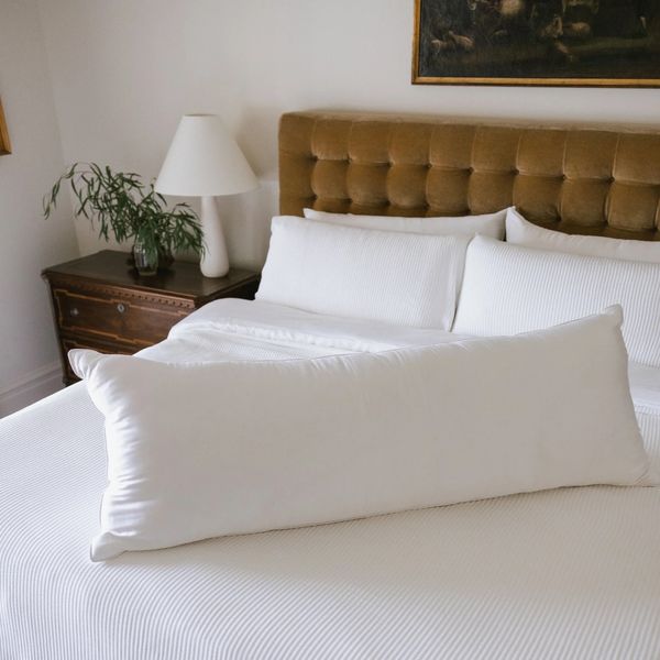 Cozy Earth Bamboo Down Alternative Body Pillow