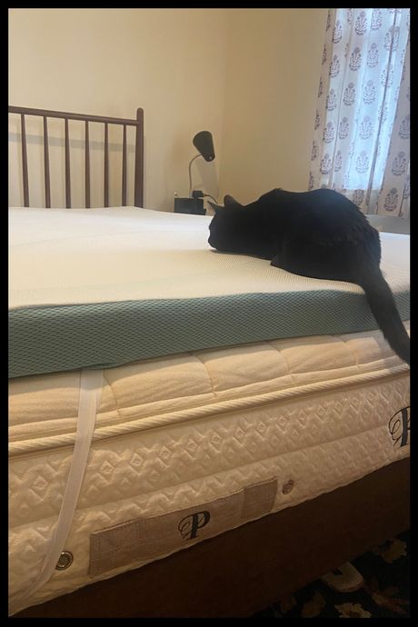 Tempur-Pedic’s Mattress Topper Is a Side Sleeper’s Paradise | The ...