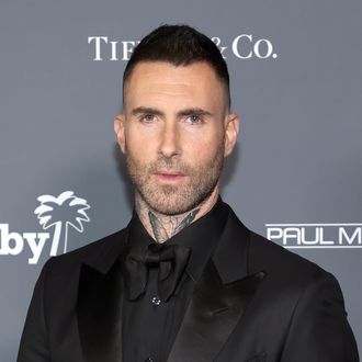Adam Levine Says He Did Not Cheat on Wife With Sumner