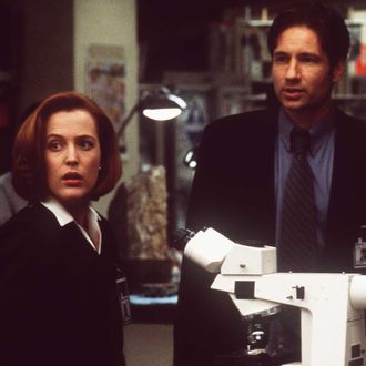 383551 03: Gillian Anderson and David Duchovny in 