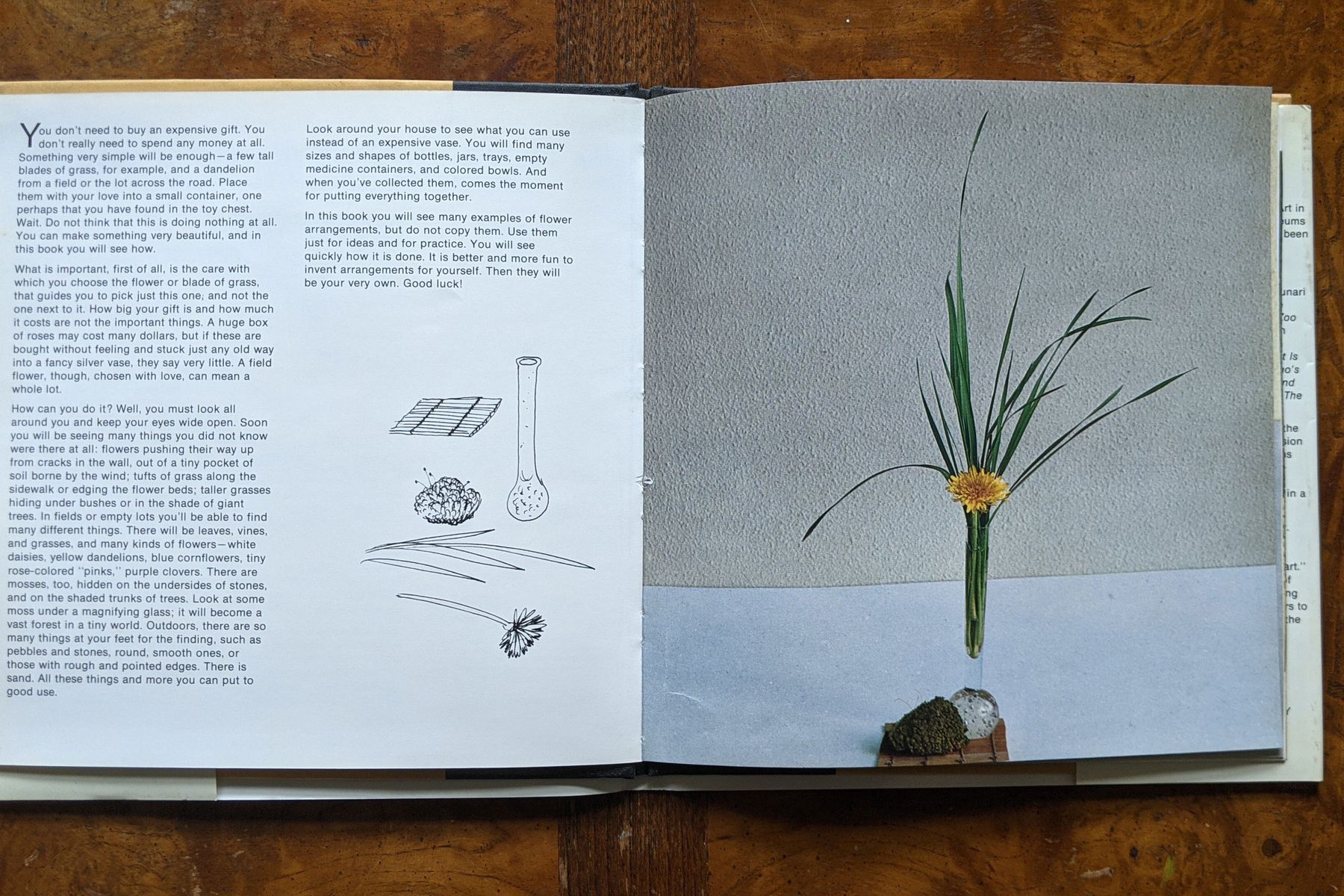 Fleurotica's Robin Rose Hilleary on Her Favorite Design Book