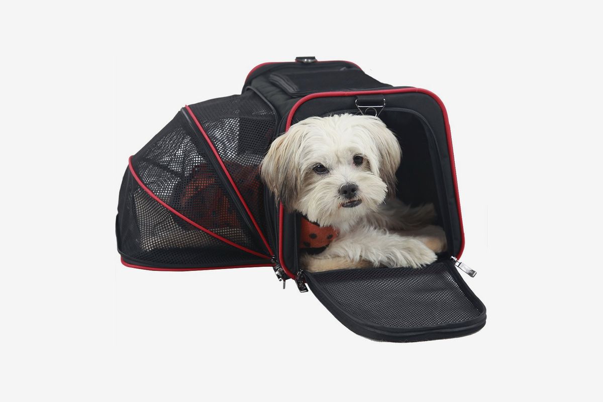 delta airline approved pet carriers in cabin
