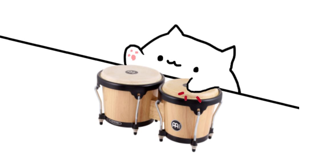 The Refreshing Meme of a Cat Playing Bongo Drums