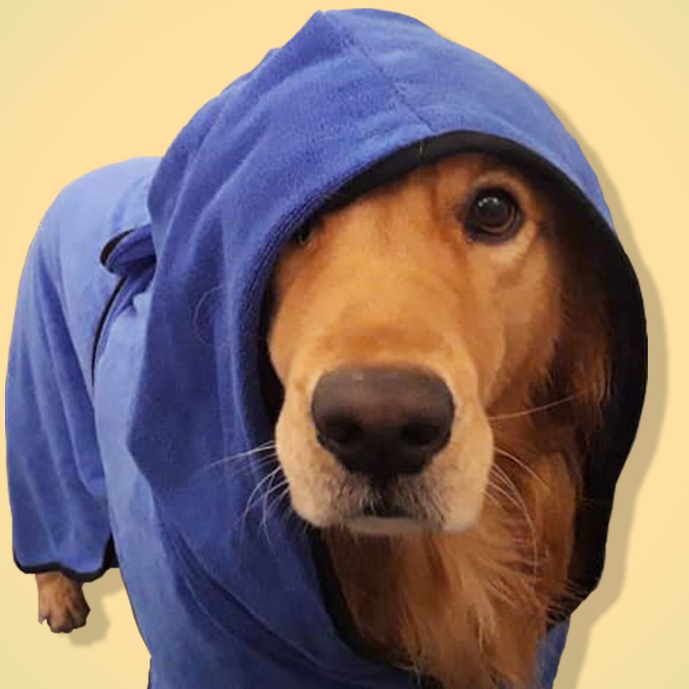 robes with dogs on them